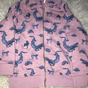 Zara sweater boys purple and Blue